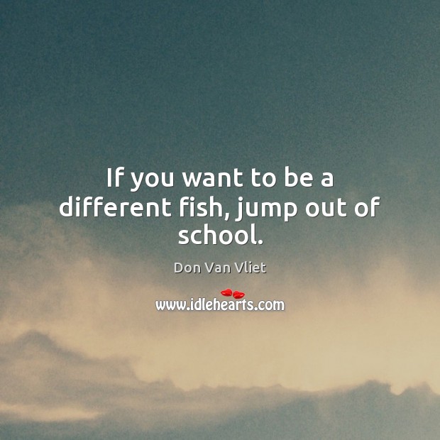 If you want to be a different fish, jump out of school. Image