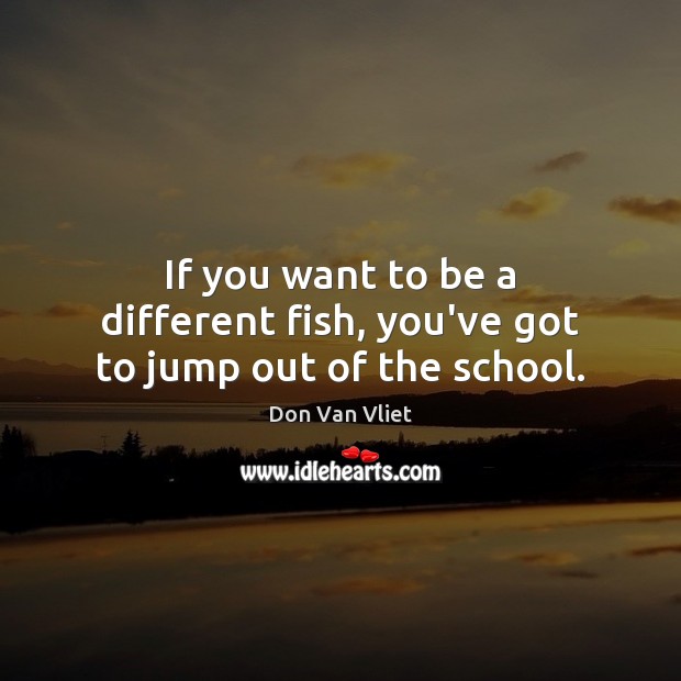 If you want to be a different fish, you’ve got to jump out of the school. Don Van Vliet Picture Quote