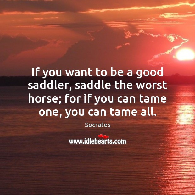 If you want to be a good saddler, saddle the worst horse; Socrates Picture Quote