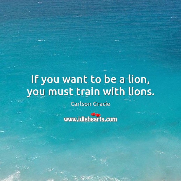 If you want to be a lion, you must train with lions. Carlson Gracie Picture Quote