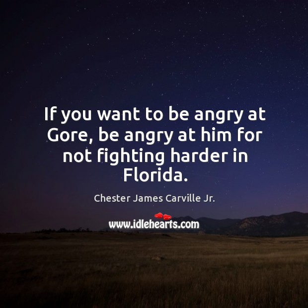 If you want to be angry at gore, be angry at him for not fighting harder in florida. Chester James Carville Jr. Picture Quote