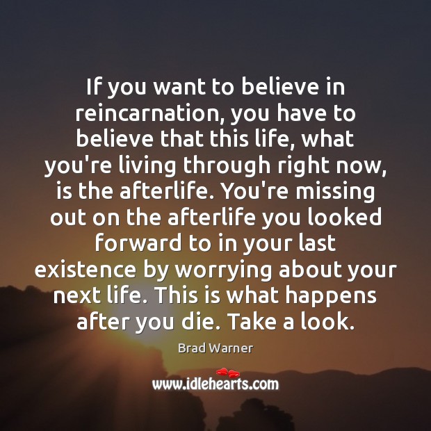 If you want to believe in reincarnation, you have to believe that Brad Warner Picture Quote