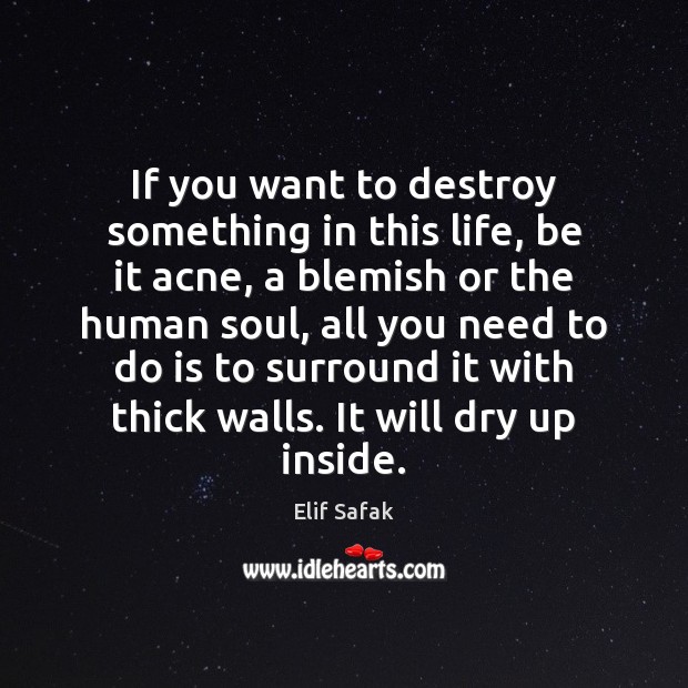 If you want to destroy something in this life, be it acne, Elif Safak Picture Quote