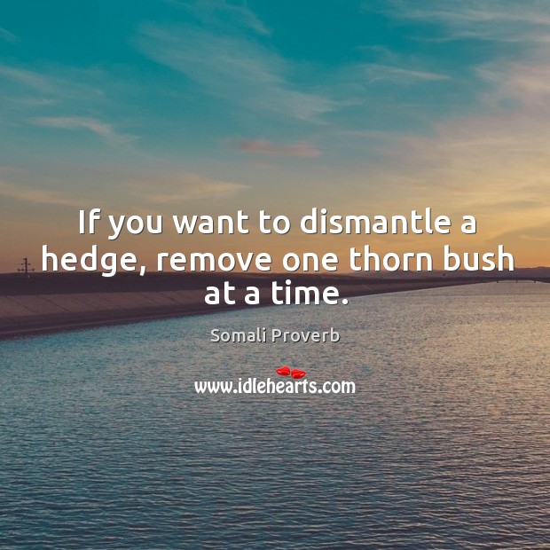 If you want to dismantle a hedge, remove one thorn bush at a time. Somali Proverbs Image