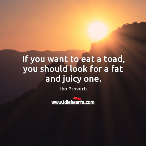 If you want to eat a toad, you should look for a fat and juicy one. Ibo Proverbs Image