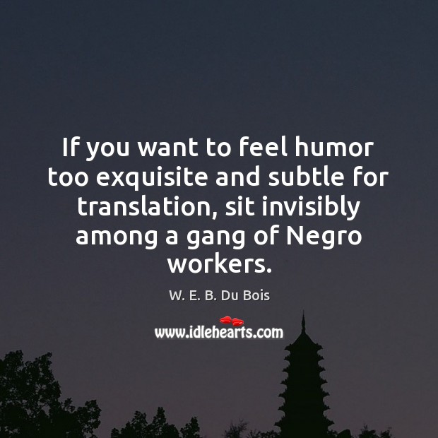 If you want to feel humor too exquisite and subtle for translation, W. E. B. Du Bois Picture Quote
