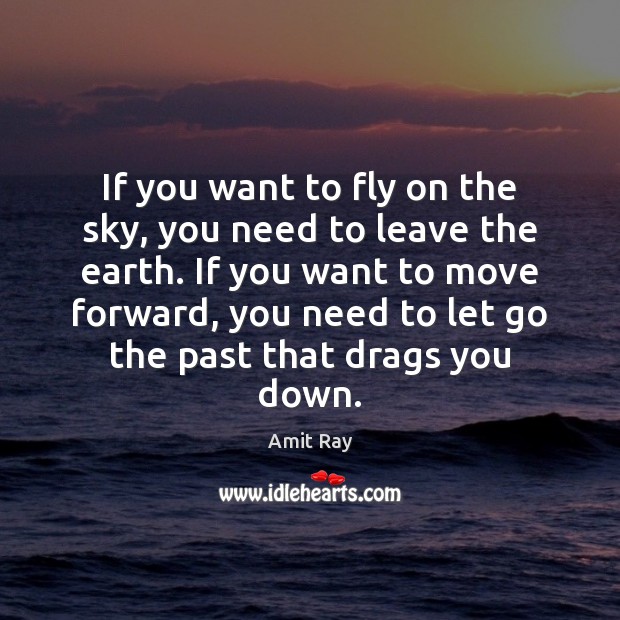 If you want to fly on the sky, you need to leave Amit Ray Picture Quote