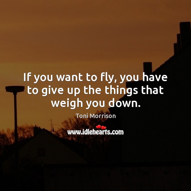 If you want to fly, you have to give up the things that weigh you down. Toni Morrison Picture Quote