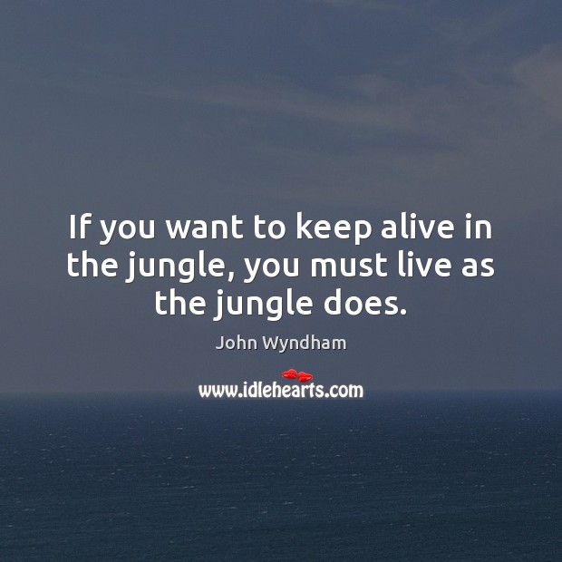 If you want to keep alive in the jungle, you must live as the jungle does. John Wyndham Picture Quote