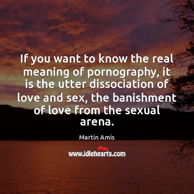 If you want to know the real meaning of pornography, it is Martin Amis Picture Quote