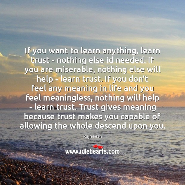 If you want to learn anything, learn trust – nothing else id Image