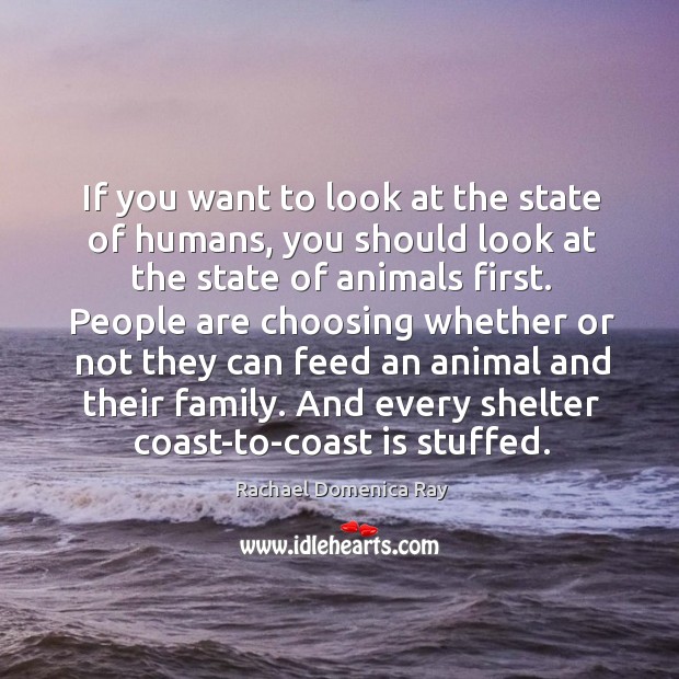 If you want to look at the state of humans, you should look at the state of animals first. Rachael Domenica Ray Picture Quote