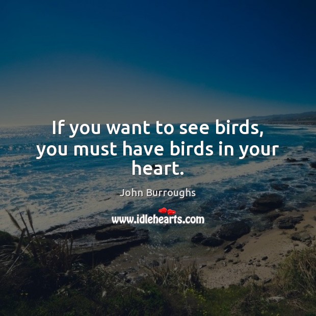 If you want to see birds, you must have birds in your heart. John Burroughs Picture Quote