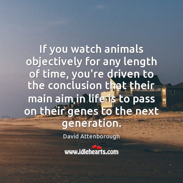 If you watch animals objectively for any length of time, you’re driven David Attenborough Picture Quote