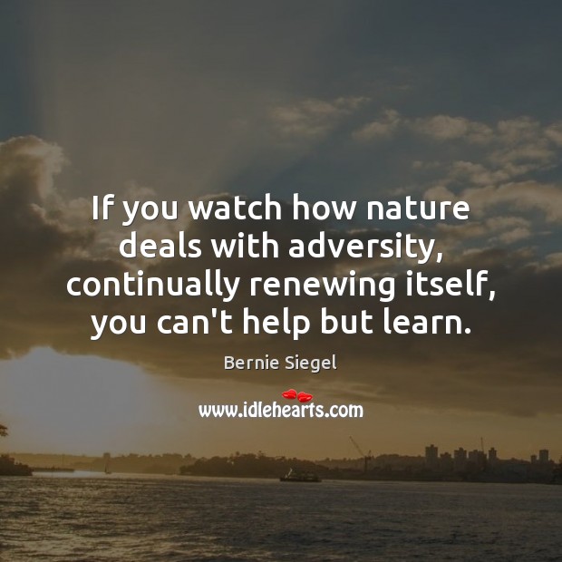 If you watch how nature deals with adversity, continually renewing itself, you Bernie Siegel Picture Quote