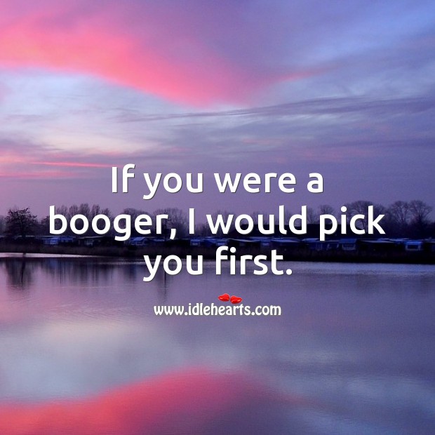 If you were a booger, I would pick you first. Romantic Messages Image