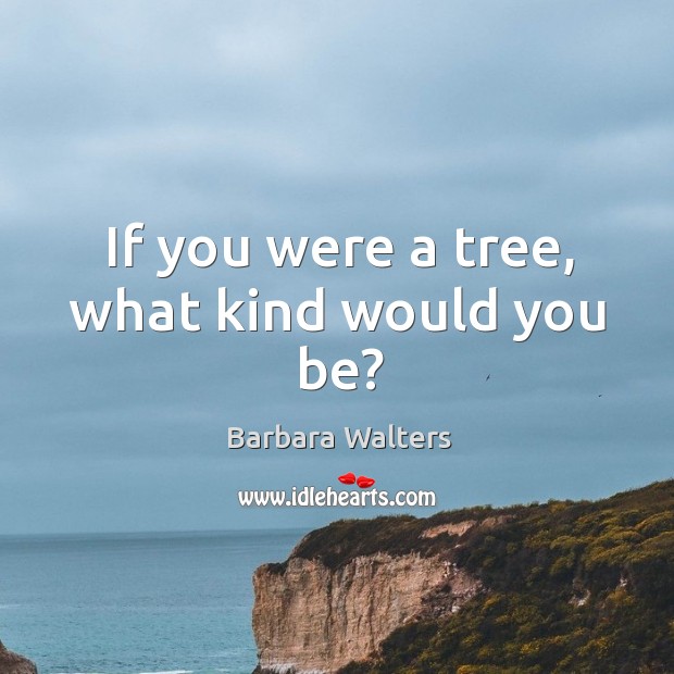 If you were a tree, what kind would you be? Image