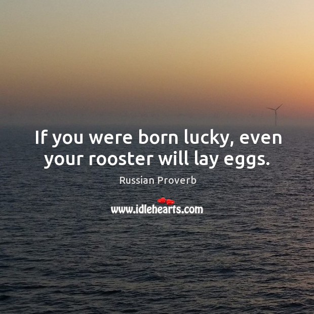 If you were born lucky, even your rooster will lay eggs. Image