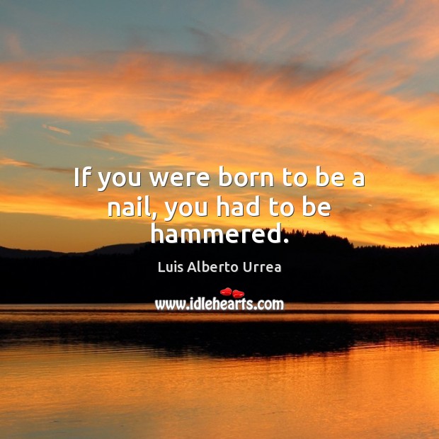 If you were born to be a nail, you had to be hammered. Image