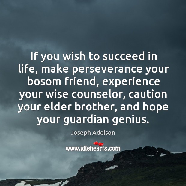 If you wish to succeed in life, make perseverance your bosom friend, experience your Image