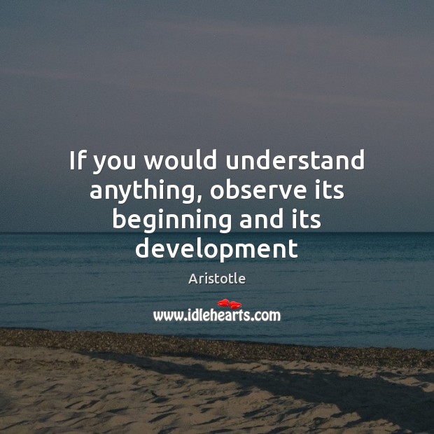 If you would understand anything, observe its beginning and its development Aristotle Picture Quote
