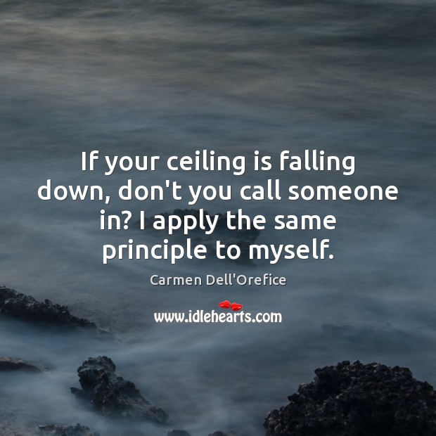 If your ceiling is falling down, don’t you call someone in? I Carmen Dell’Orefice Picture Quote