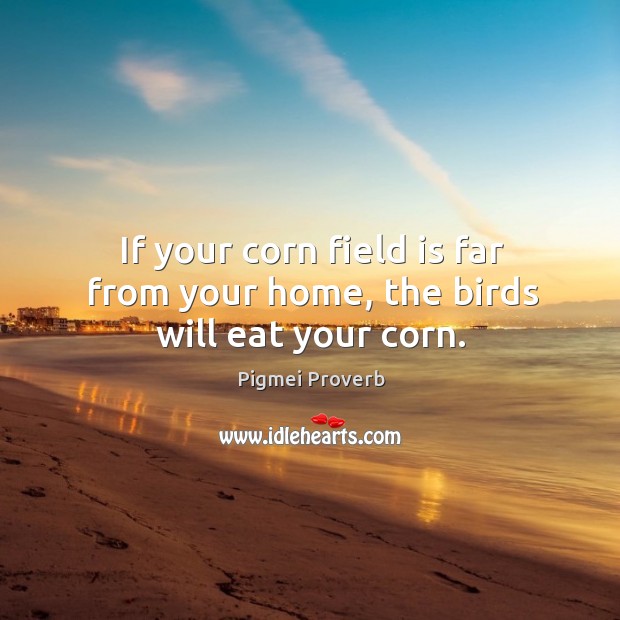 If your corn field is far from your home, the birds will eat your corn. Pigmei Proverbs Image
