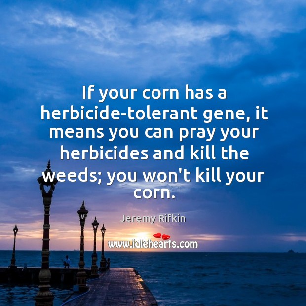 If your corn has a herbicide-tolerant gene, it means you can pray Jeremy Rifkin Picture Quote