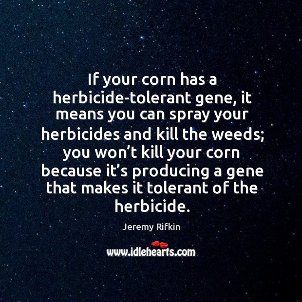 If your corn has a herbicide-tolerant gene, it means you can spray your herbicides and kill the weeds Jeremy Rifkin Picture Quote
