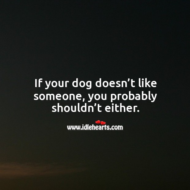 If your dog doesn’t like someone, you probably shouldn’t either. Image