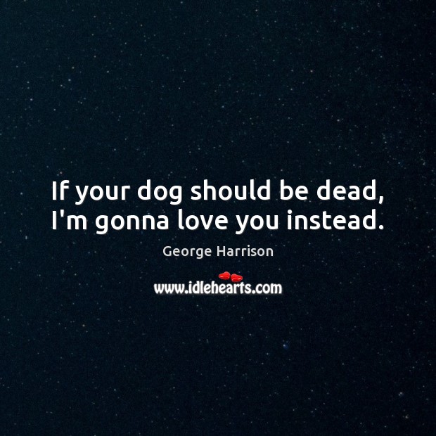 If your dog should be dead, I’m gonna love you instead. George Harrison Picture Quote