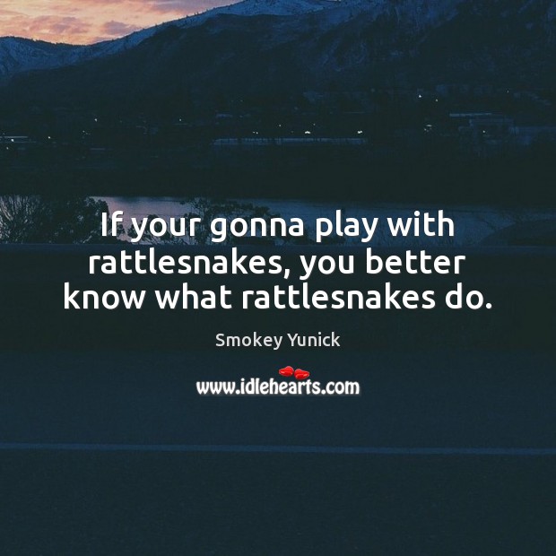 If your gonna play with rattlesnakes, you better know what rattlesnakes do. Smokey Yunick Picture Quote