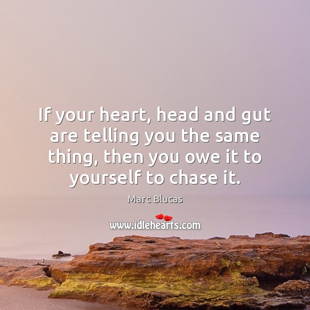 If your heart, head and gut are telling you the same thing, Marc Blucas Picture Quote