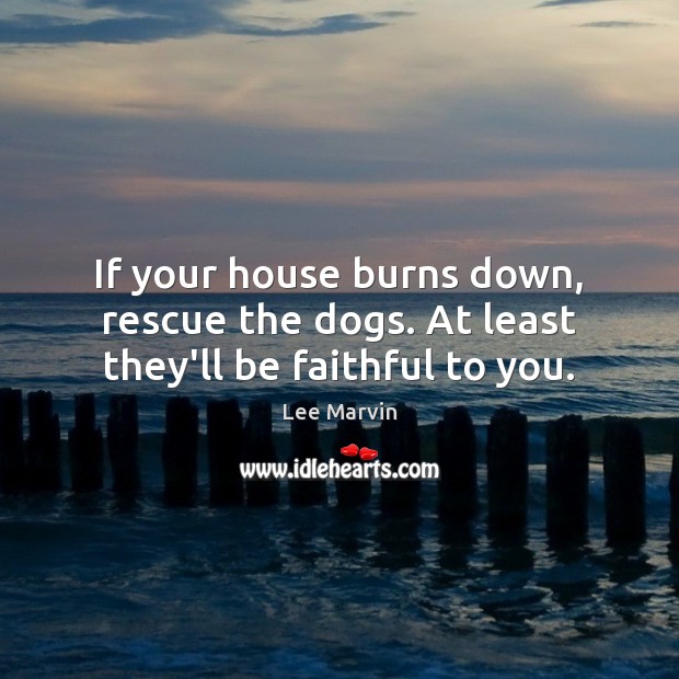 If your house burns down, rescue the dogs. At least they’ll be faithful to you. Lee Marvin Picture Quote