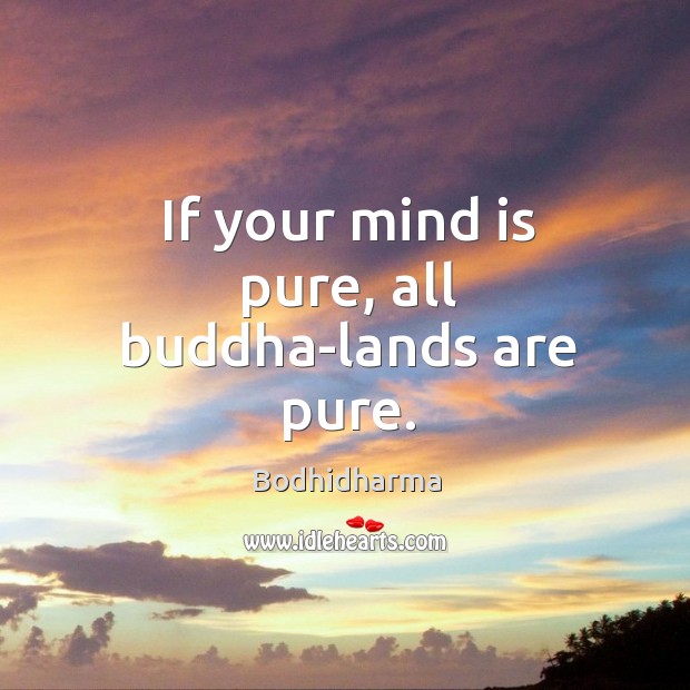 If your mind is pure, all buddha-lands are pure. Bodhidharma Picture Quote