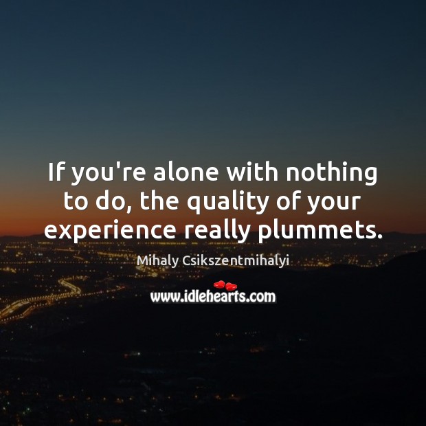 If you’re alone with nothing to do, the quality of your experience really plummets. Mihaly Csikszentmihalyi Picture Quote