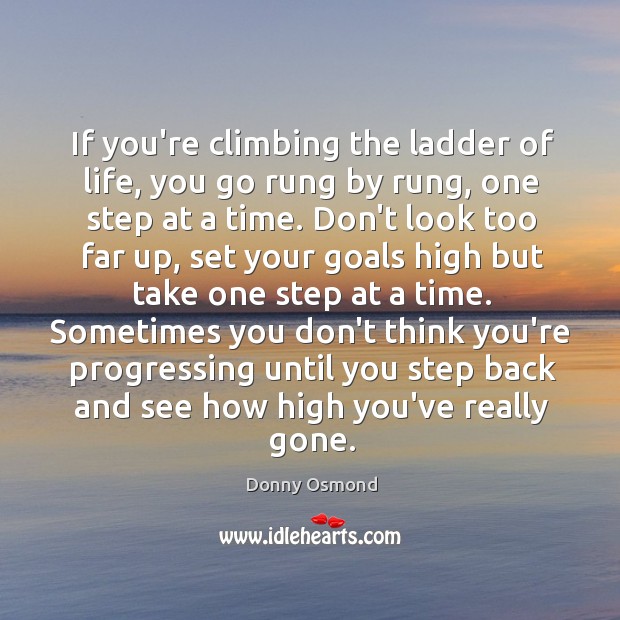 If you’re climbing the ladder of life, you go rung by rung, 