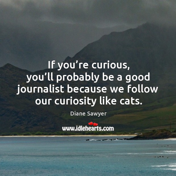 If you’re curious, you’ll probably be a good journalist because we follow our curiosity like cats. Image