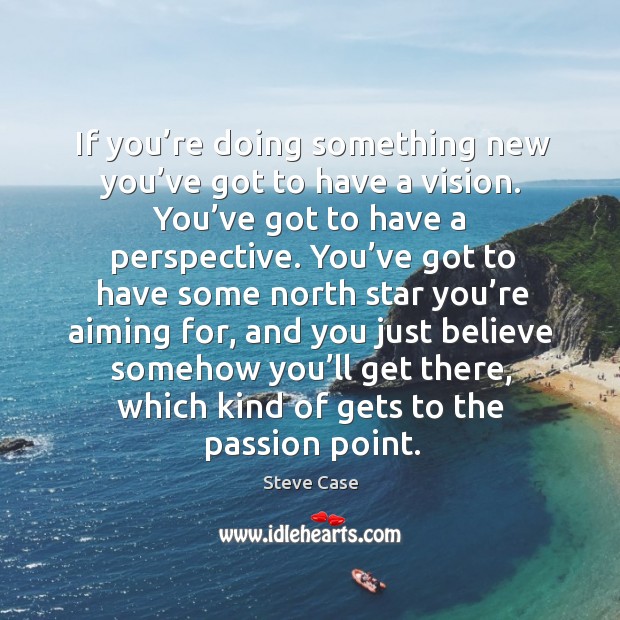 If you’re doing something new you’ve got to have a vision. You’ve got to have a perspective. Steve Case Picture Quote