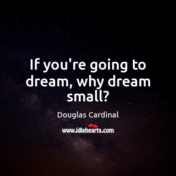 If you’re going to dream, why dream small? Douglas Cardinal Picture Quote