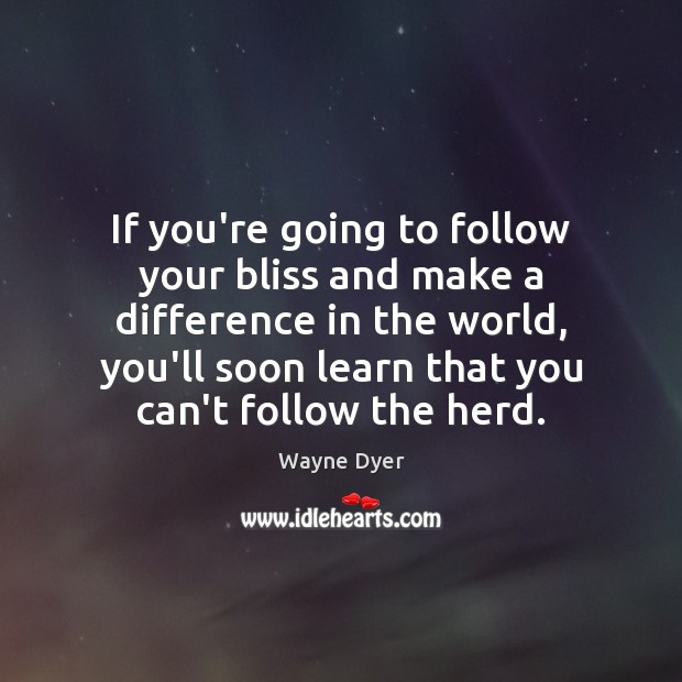 If you’re going to follow your bliss and make a difference in Image