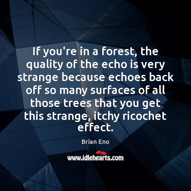 If you’re in a forest, the quality of the echo is very Brian Eno Picture Quote
