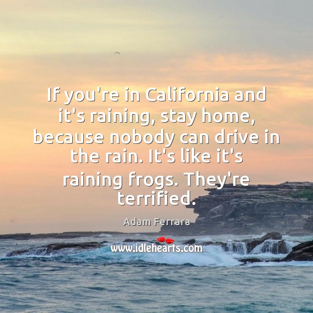 If you’re in California and it’s raining, stay home, because nobody can Adam Ferrara Picture Quote