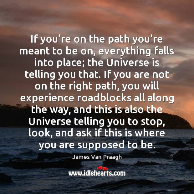 If you’re on the path you’re meant to be on, everything falls James Van Praagh Picture Quote