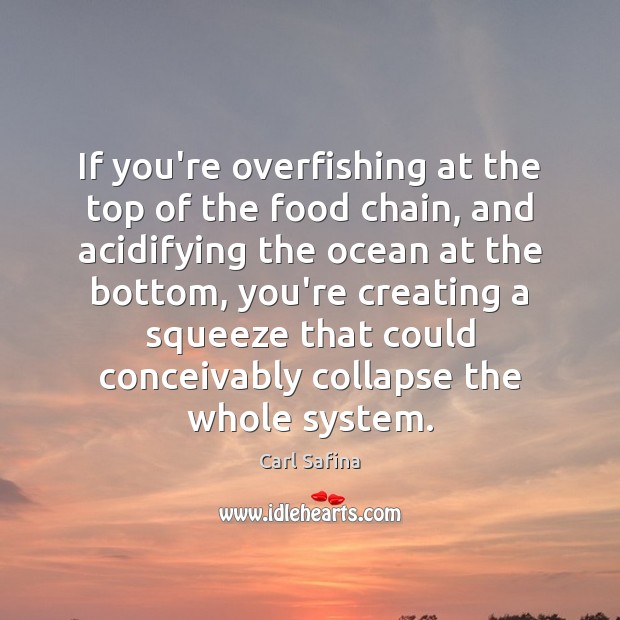 If you’re overfishing at the top of the food chain, and acidifying Carl Safina Picture Quote