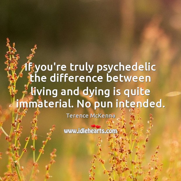 If you’re truly psychedelic the difference between living and dying is quite Terence McKenna Picture Quote