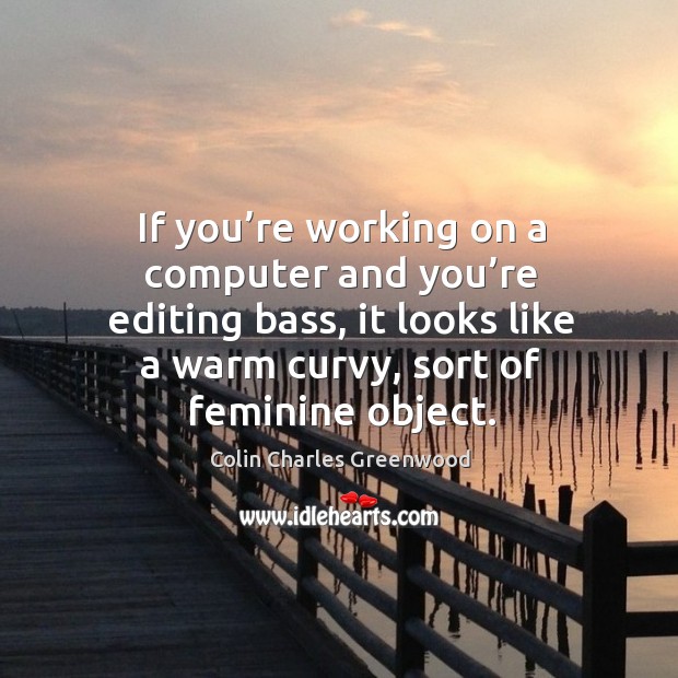 If you’re working on a computer and you’re editing bass, it looks like a warm curvy, sort of feminine object. Colin Charles Greenwood Picture Quote