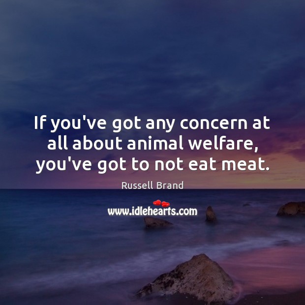 If you’ve got any concern at all about animal welfare, you’ve got to not eat meat. Russell Brand Picture Quote