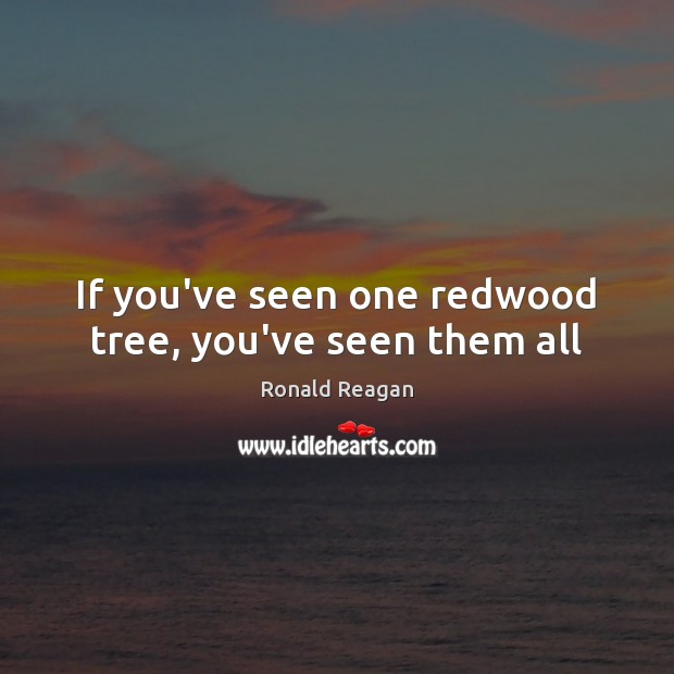 If you’ve seen one redwood tree, you’ve seen them all Image