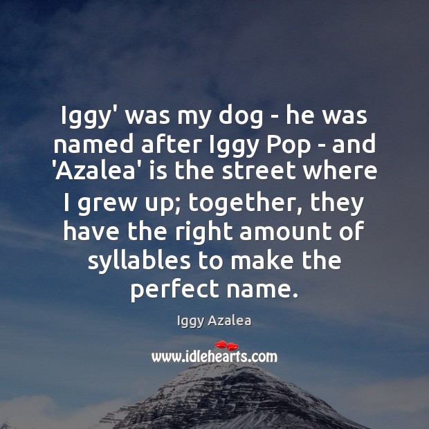 Iggy’ was my dog – he was named after Iggy Pop – Image